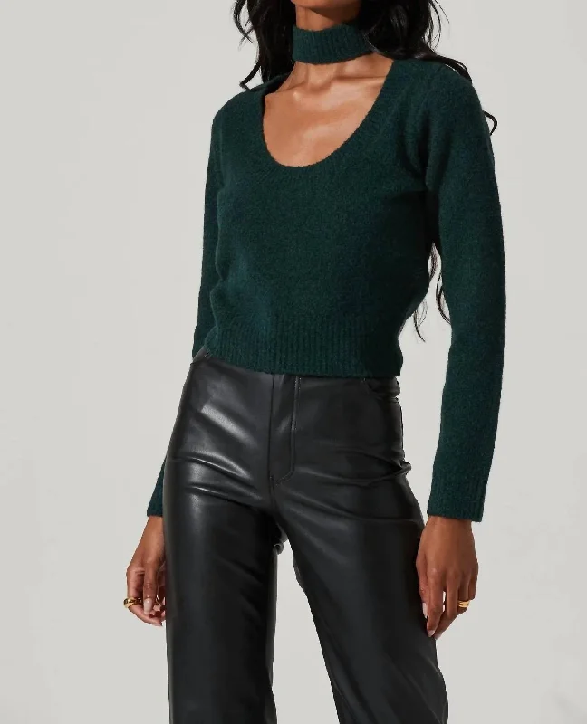 Marion Sweater In Green Graphic Sweater Embroidered Appliqued